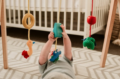 Load image into Gallery viewer, QToys Australia (USA) BABY GYM