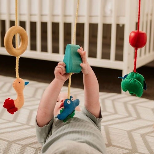 Load image into Gallery viewer, QToys Australia (USA) BABY GYM