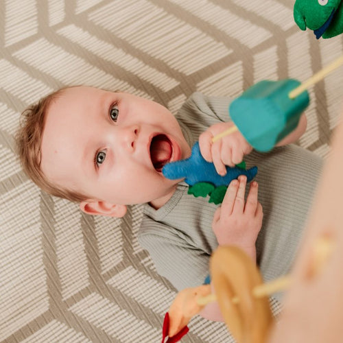 Load image into Gallery viewer, QToys Australia (USA) BABY GYM