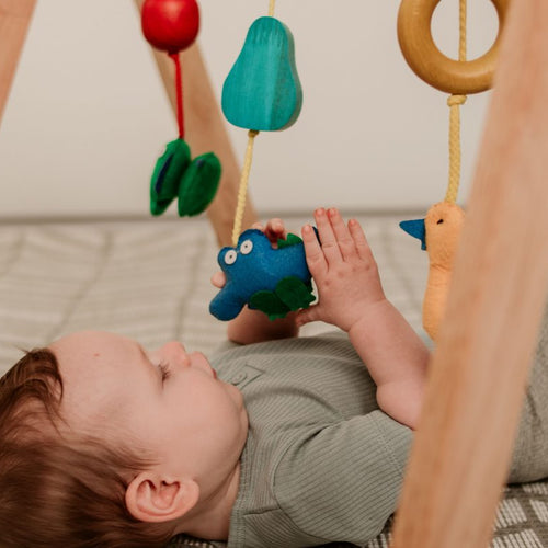 Load image into Gallery viewer, QToys Australia (USA) BABY GYM