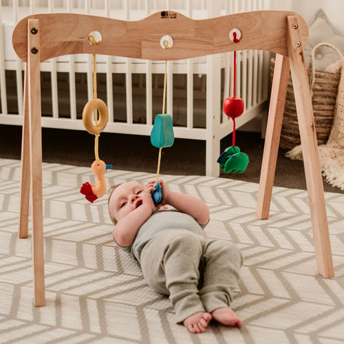 Load image into Gallery viewer, QToys Australia (USA) BABY GYM