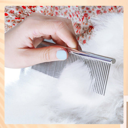 Load image into Gallery viewer, [Limited Time Offer !!!] Cats Wool Pet Hair Deshedding Brush Set Comb
