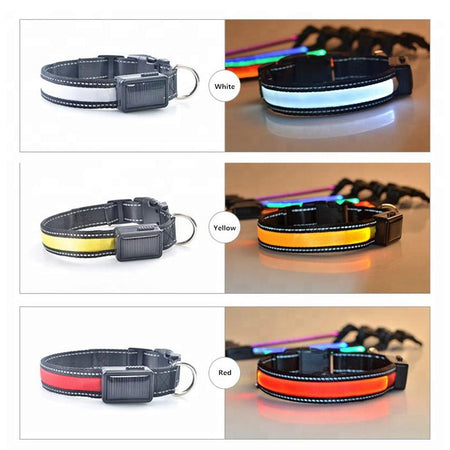 [Limited Time Offer !!!] USB and Solar Charge Reflective Led Dog Collar