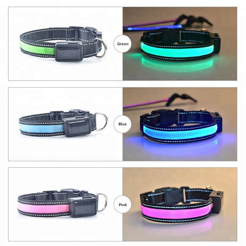 Load image into Gallery viewer, [Limited Time Offer !!!] USB and Solar Charge Reflective Led Dog Collar
