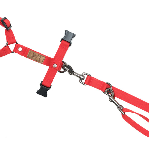 Load image into Gallery viewer, [Limited Time Offer !!!] Lof Folding Lead Leash
