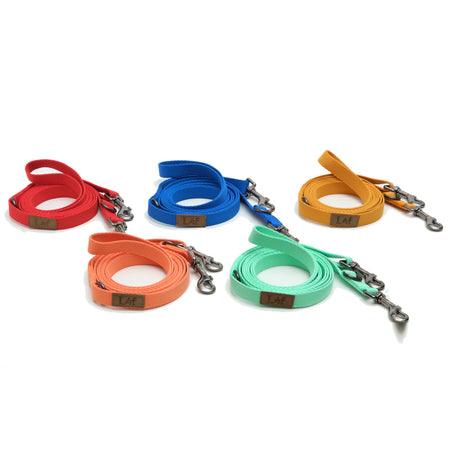[Limited Time Offer !!!] Lof Folding Lead Leash