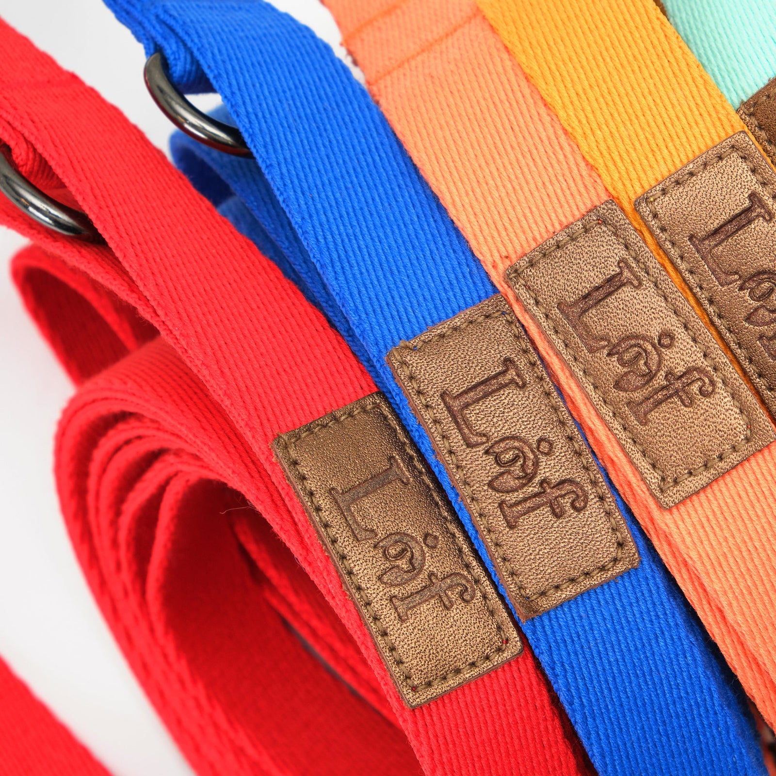 [Limited Time Offer !!!] Lof Folding Lead Leash