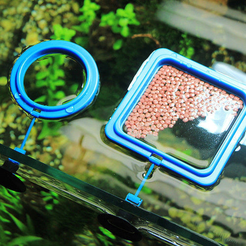 Load image into Gallery viewer, [Limited Time Offer !!!] Aquarium Feeding Ring Fish Tank Station

