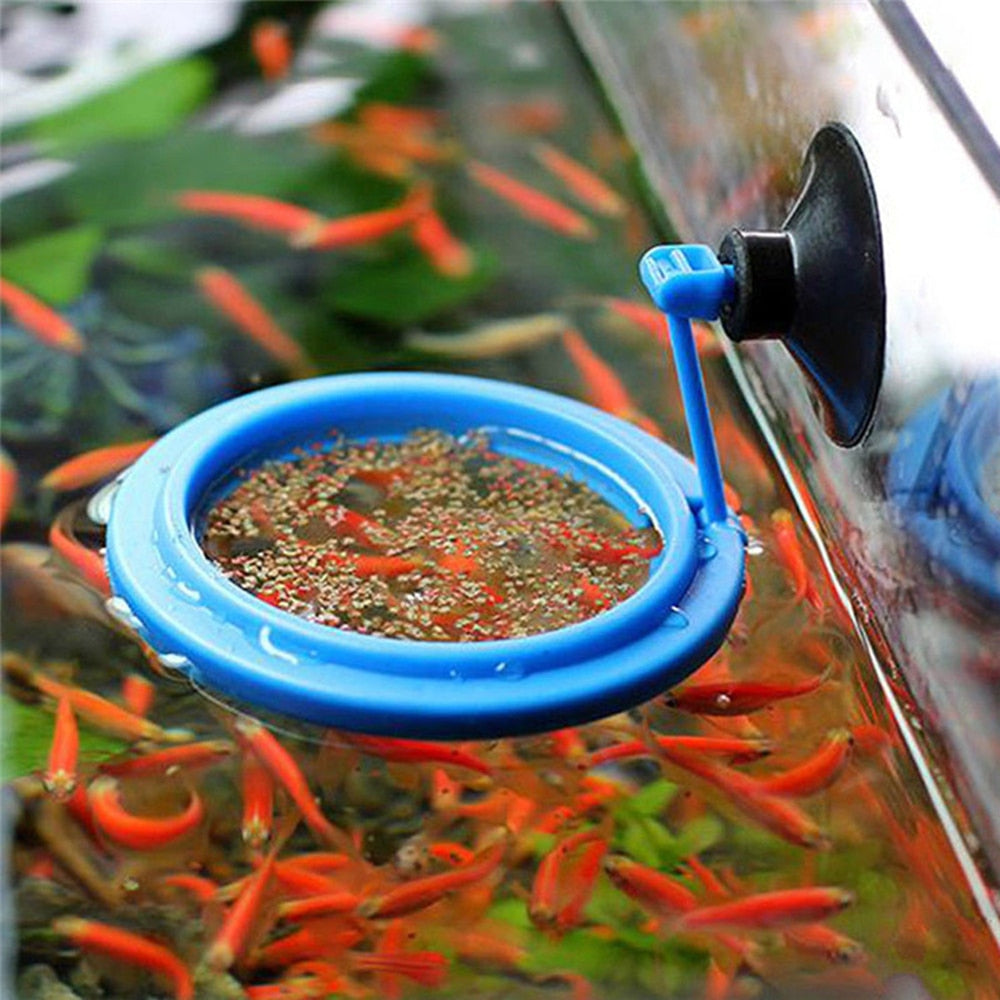 [Limited Time Offer !!!] Aquarium Feeding Ring Fish Tank Station