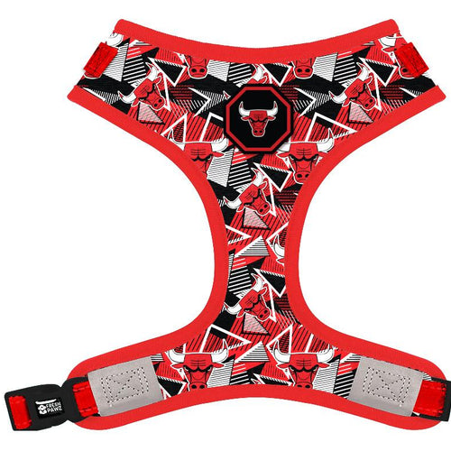 Load image into Gallery viewer, [Limited Time Offer !!!] Chicago Bulls x Fresh Pawz | Adjustable Mesh Harness
