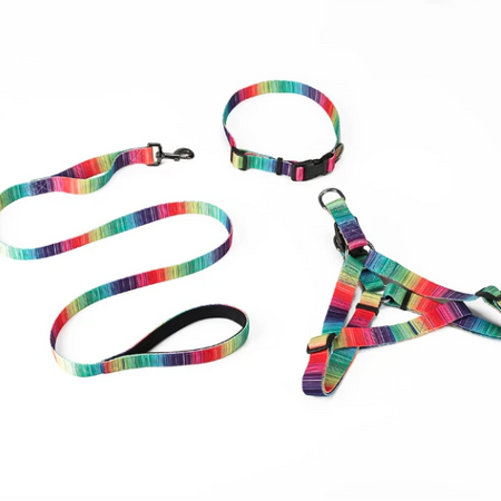 [Limited Time Offer !!!] Matching Leash & collars Set