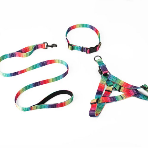 Load image into Gallery viewer, [Limited Time Offer !!!] Matching Leash &amp; collars Set
