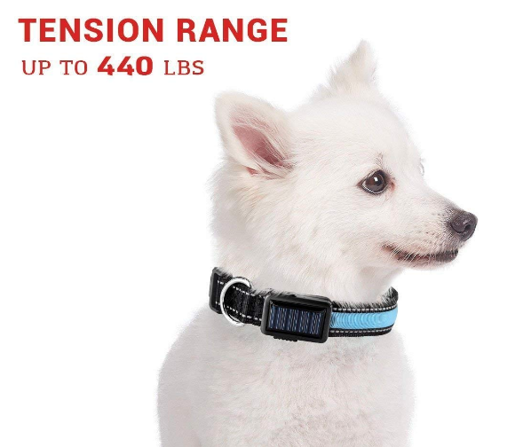 [Limited Time Offer !!!] USB and Solar Charge Reflective Led Dog Collar