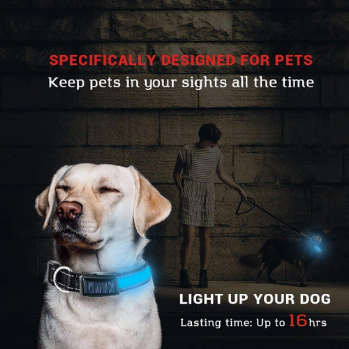 Load image into Gallery viewer, [Limited Time Offer !!!] USB and Solar Charge Reflective Led Dog Collar
