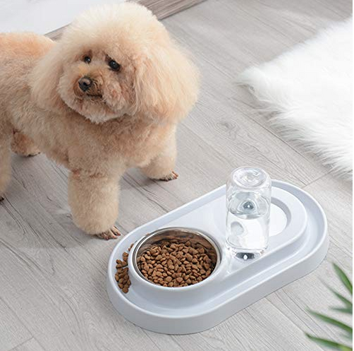 Load image into Gallery viewer, [Limited Time Offer !!!] Stainless Steel Pet Bowls with Automatic Water Bottle
