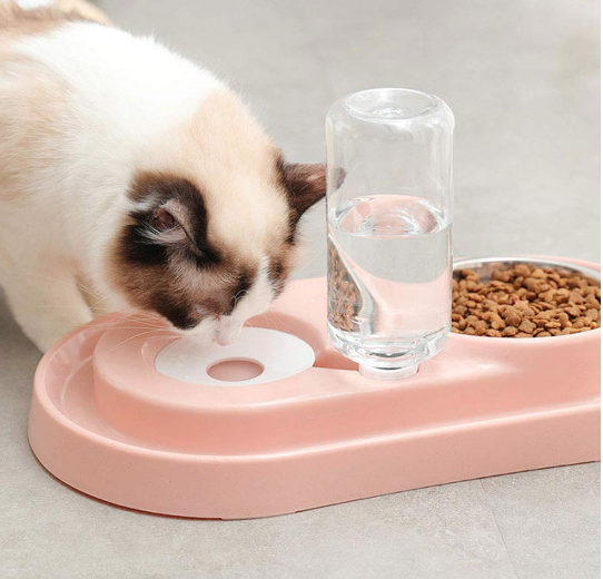 [Limited Time Offer !!!] Stainless Steel Pet Bowls with Automatic Water Bottle