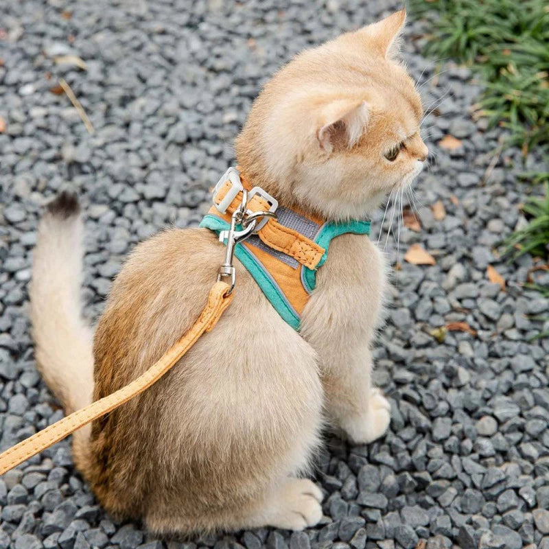 [Limited Time Offer !!!] Adjustable Cat Harness With Leash Set Reflective Vest Pet Harnesses