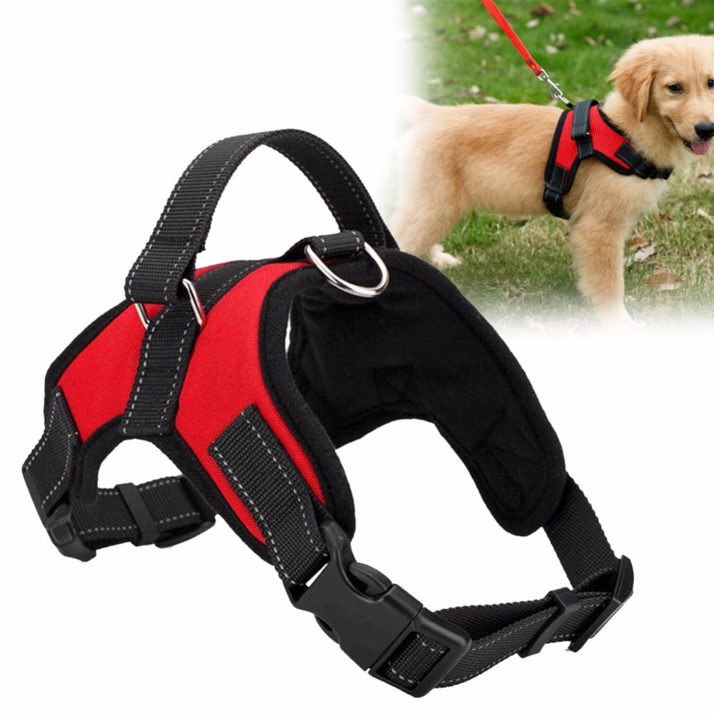 [Limited Time Offer !!!] Fast Shipping Adjustable Dog Pet Harness
