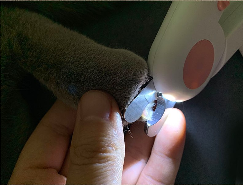 [Limited Time Offer !!!] Pet Nail Scissors LED Cat Nail Clipper Trimmer