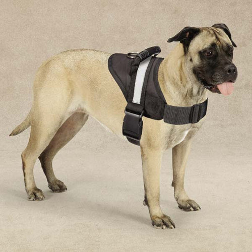 Load image into Gallery viewer, [Limited Time Offer !!!] Excursion Harness 15-19 In Black
