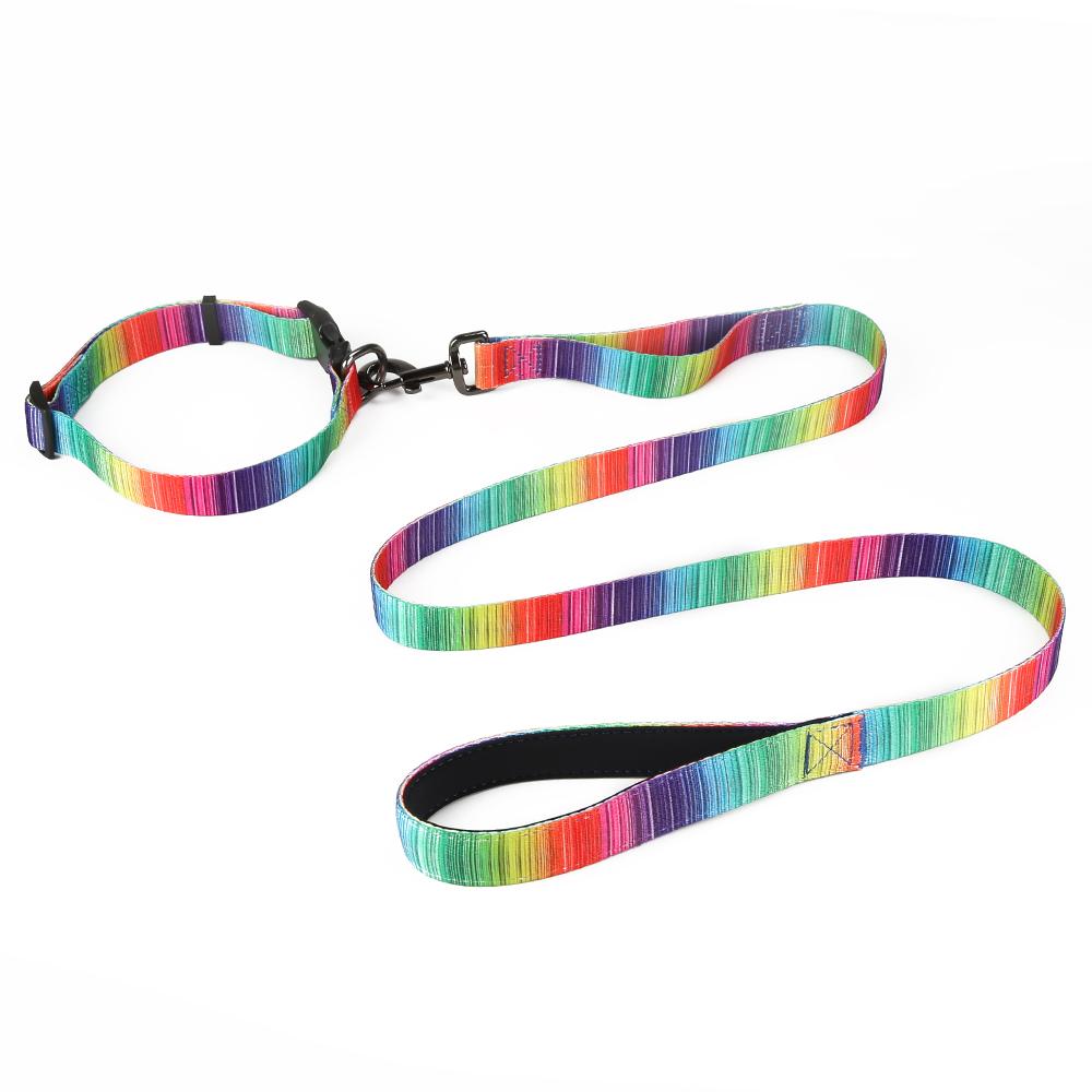 [Limited Time Offer !!!] Matching Leash & collars Set