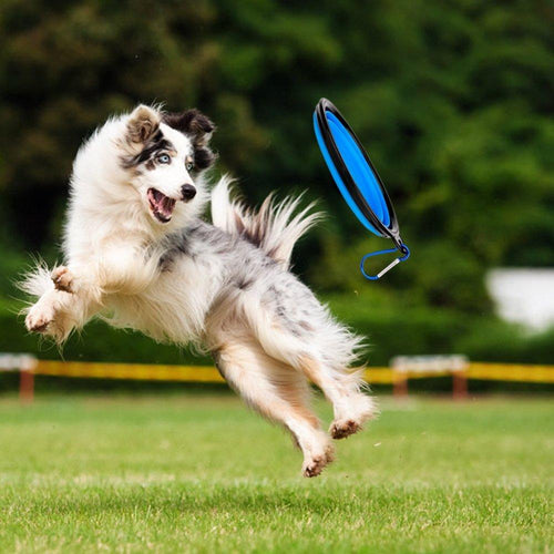 Load image into Gallery viewer, [Limited Time Offer !!!] 2 in 1 Dog Drinking Water Bottle with Bowls
