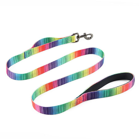 [Limited Time Offer !!!] Matching Leash & collars Set