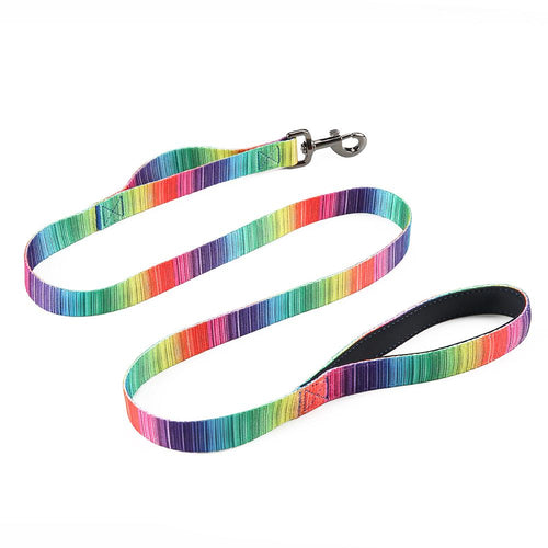 Load image into Gallery viewer, [Limited Time Offer !!!] Matching Leash &amp; collars Set
