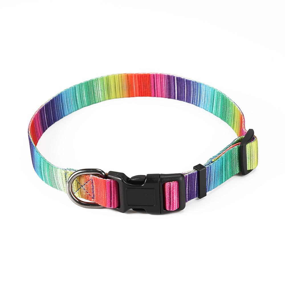 [Limited Time Offer !!!] Matching Leash & collars Set